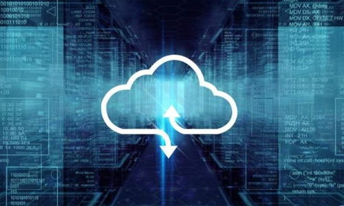 新紐科技 軟件賽道的新星，能否在SaaS領域一騎絕塵？